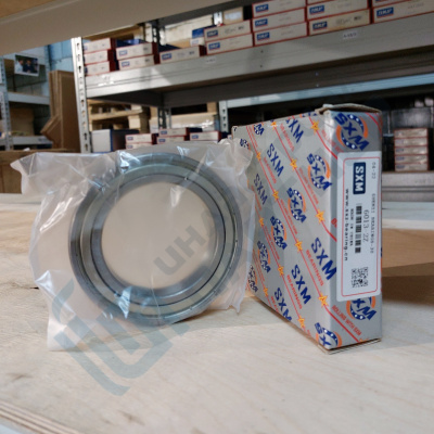 Подшипник 6013-2Z SXM